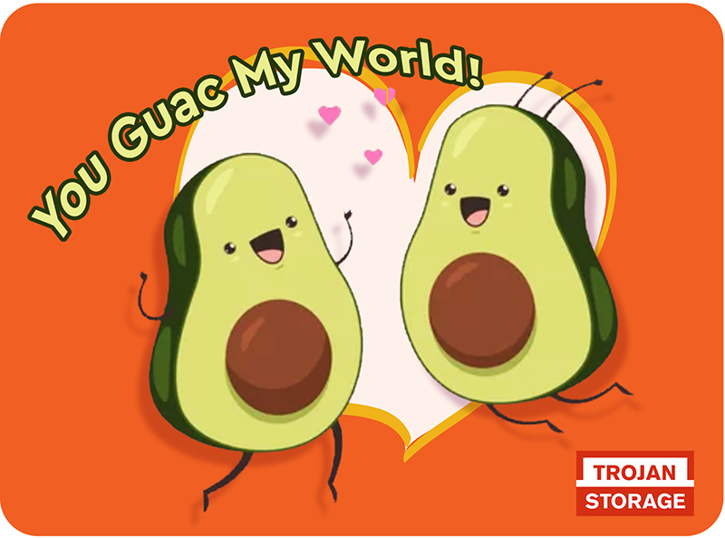 FREE Printable Trojan Storage ‘Valentine’s Day’ Cards